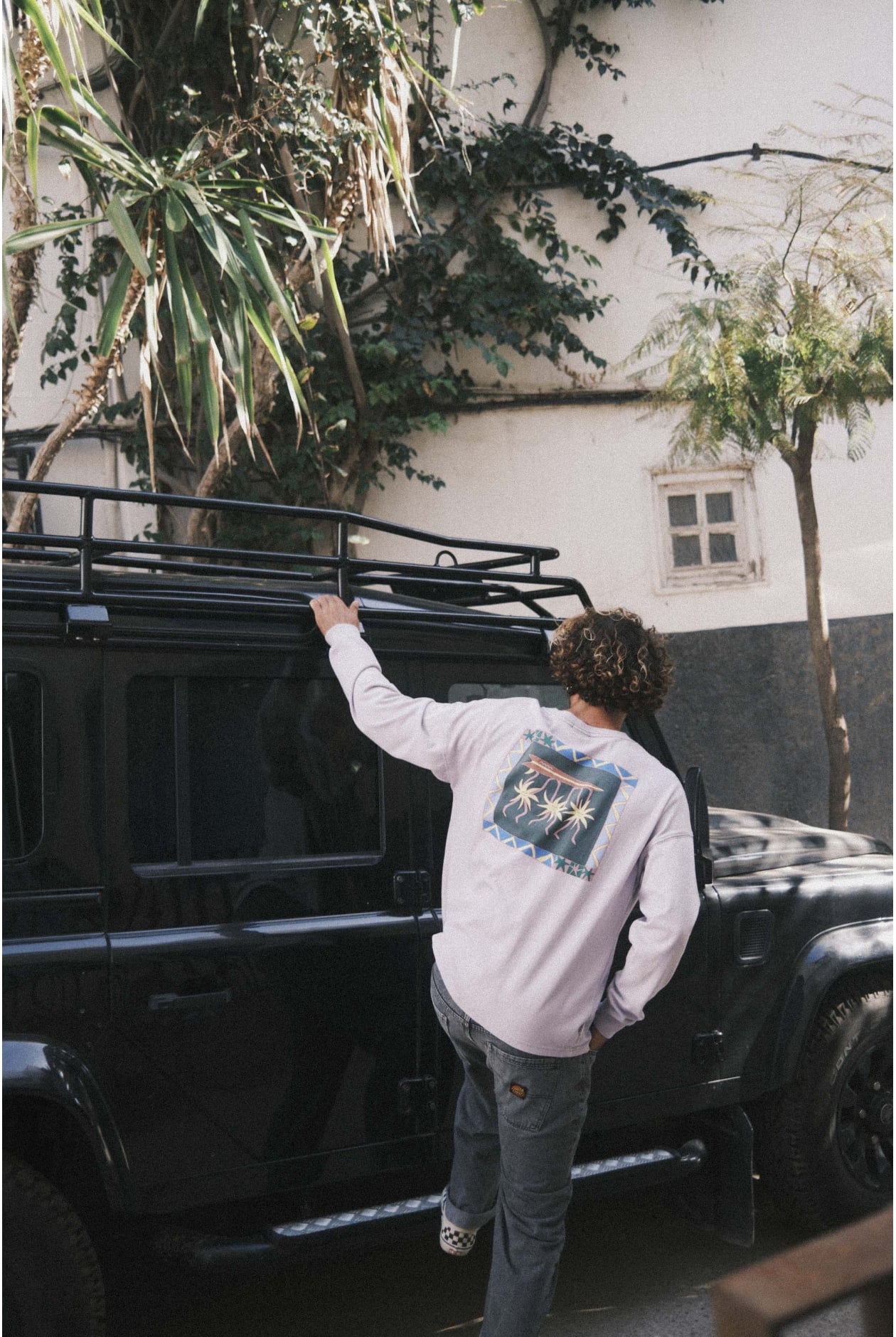 3Suns LS - Purple Haze 3Suns LS - Purple Haze