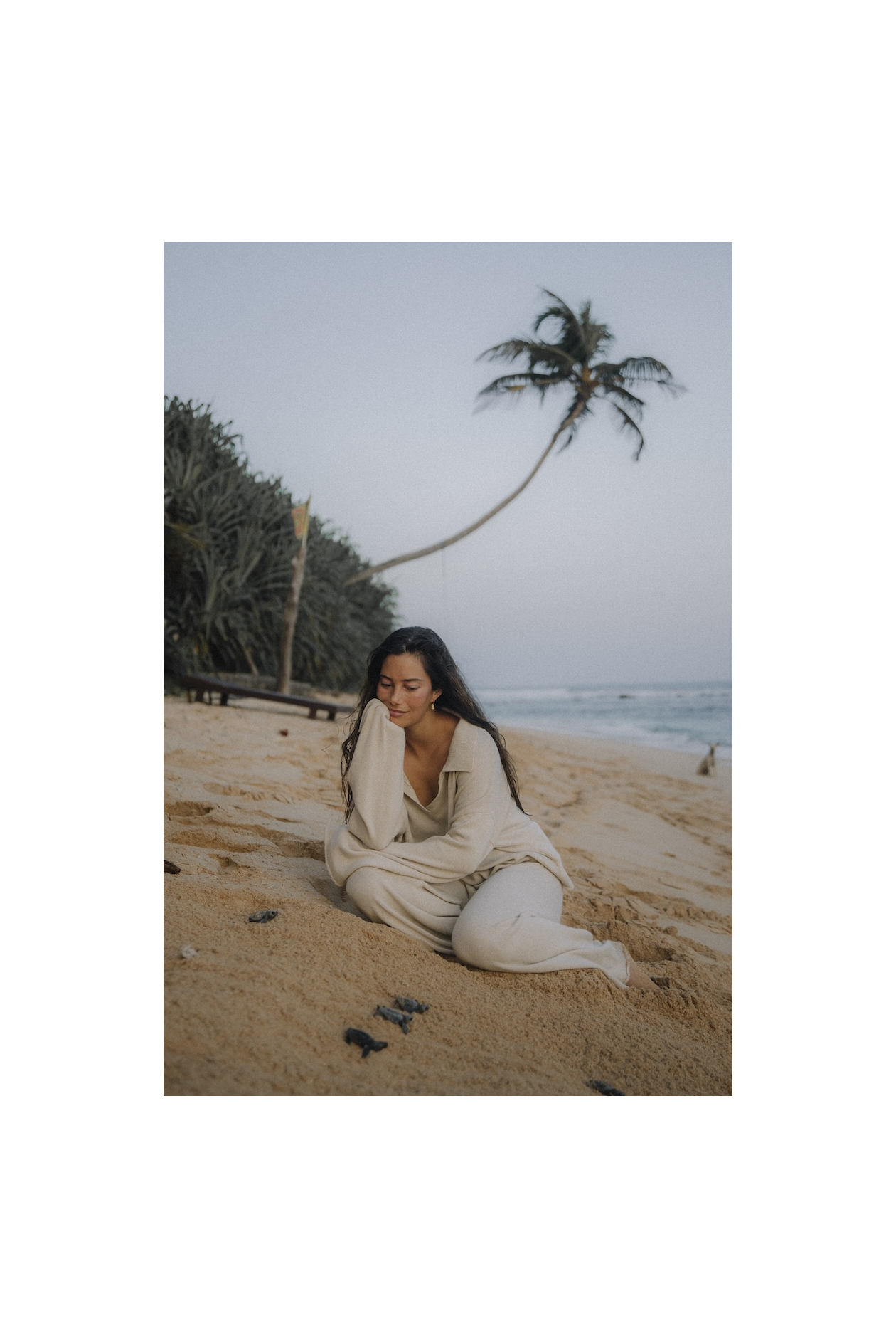 Biscotti Knit Polo - Cookie Biscotti Knit Polo - Cookie