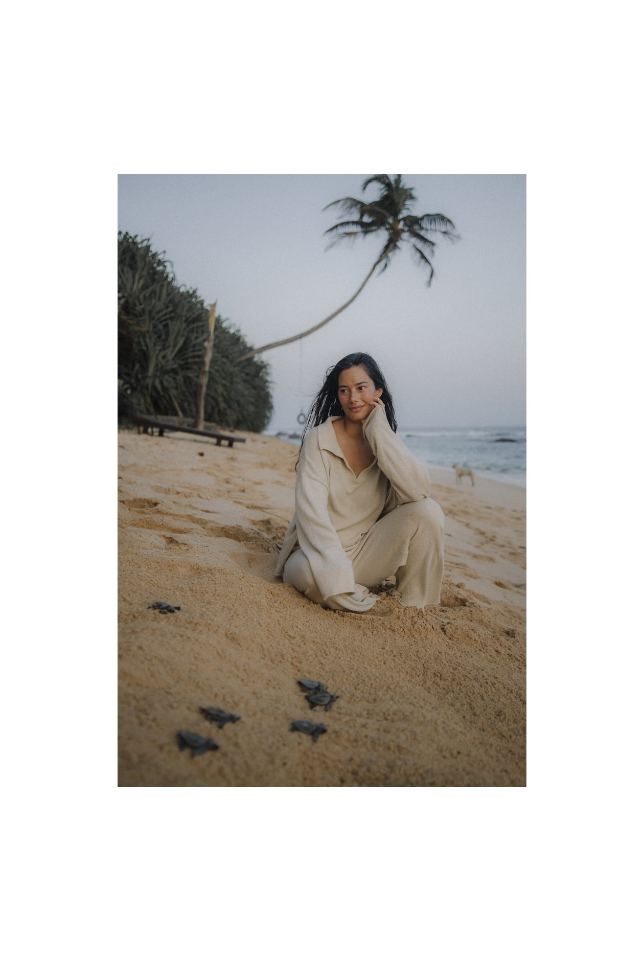 Biscotti Knit Polo - Cookie Biscotti Knit Polo - Cookie