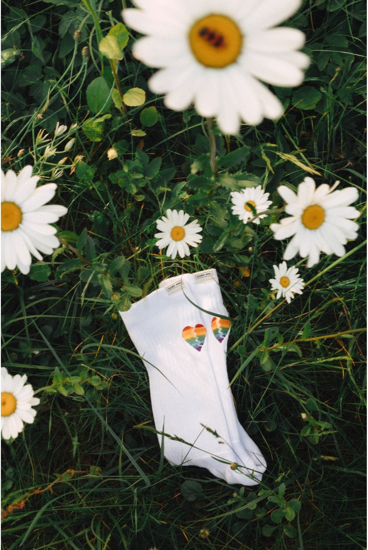 Love Is Socks Love Is Socks