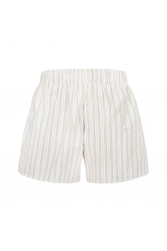 Old Hamptons Stripe Shorts...