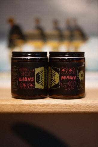 Surf Lion's Mane Extract