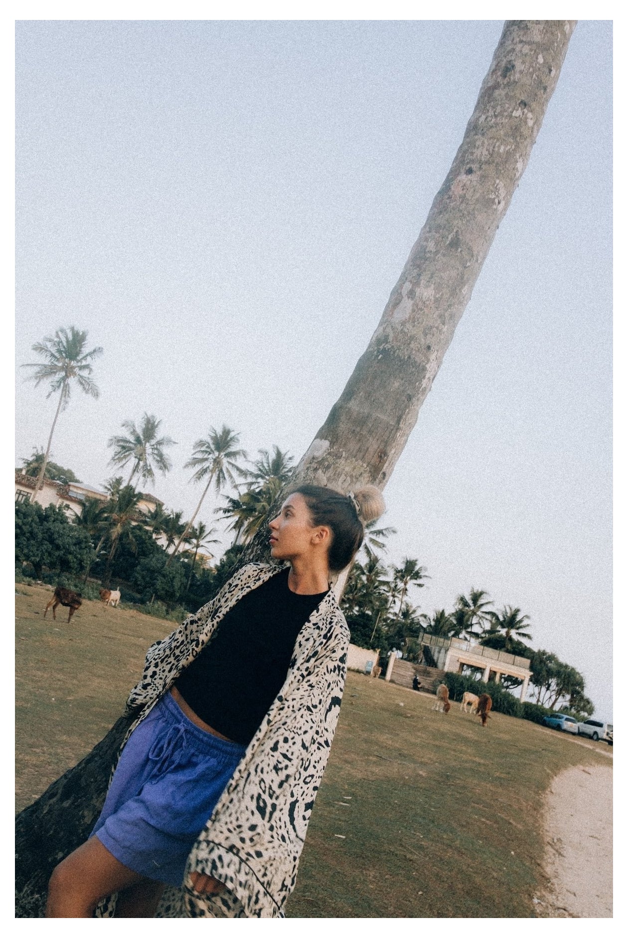 Animal Kimono - Silk Blend