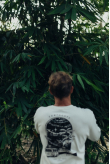 Portal LS - Vintage White | Surf Inc. Portal LS - Vintage White | Surf Inc.