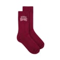 University Burgundy Socks