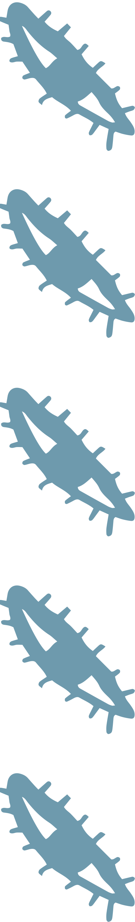 Jungle Daisy x surf inc. collaboration